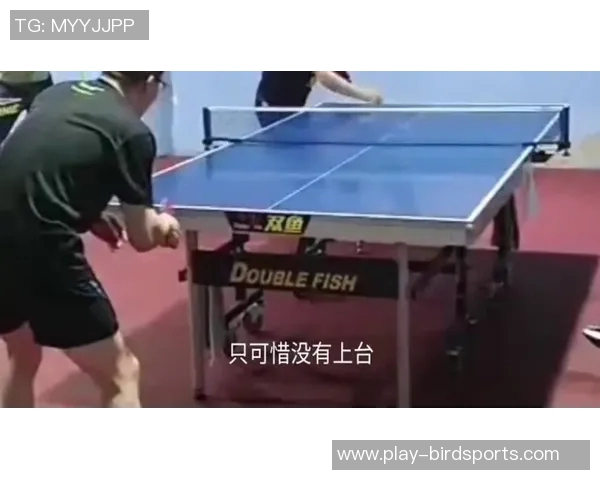 广州乒乓球队在转换过程中的得失分析与未来展望