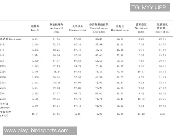 上海排球队在邀请赛中的速度表现分析与点评