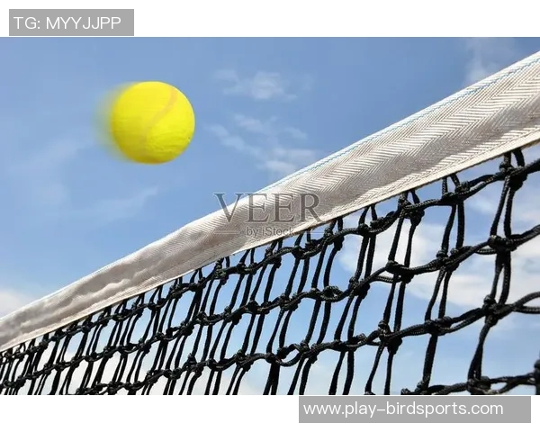 网球新手必看全面技术入门指南助你快速提升球技与比赛水平