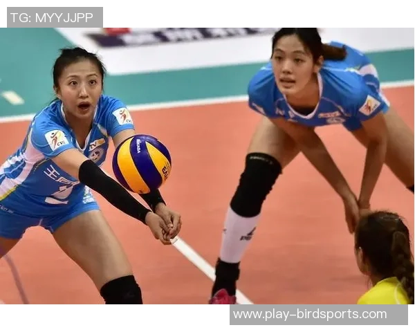 英超排球专题深度解析成都排球队的耐力训练与比赛表现