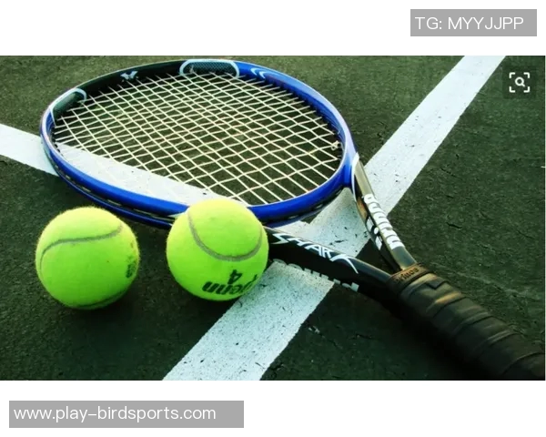 全国锦标赛分析上海网球队战术表现与欧冠足球的战术对比探讨