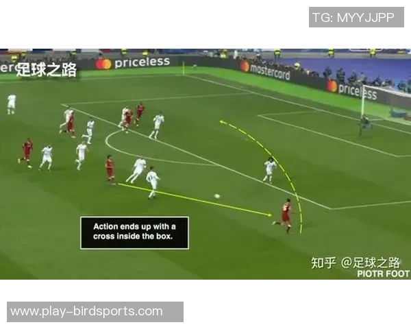 深度解析深圳排球队的节奏打法与欧冠足球的战术对比