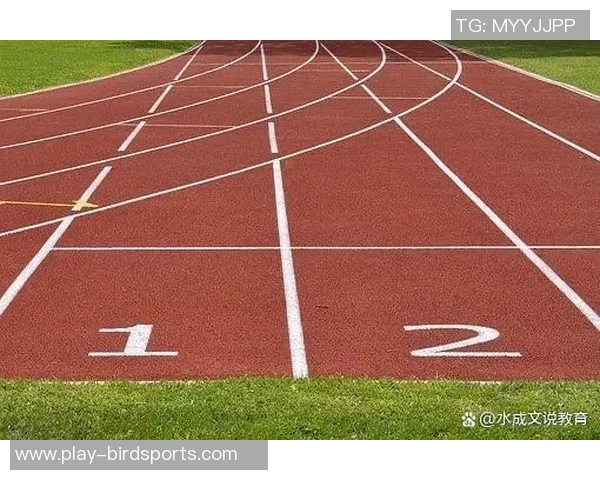 运动周磊专访回顾极限运动历程与体育精神的深度交融