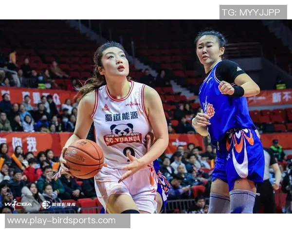 聚焦成都篮球队实力分析展现球队潜力与未来发展方向