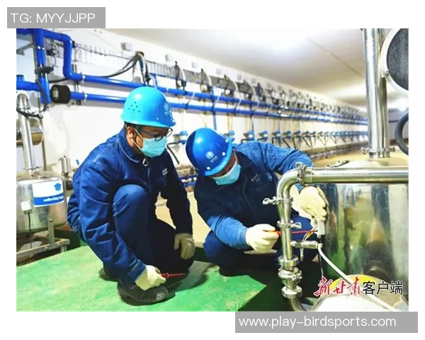 武汉排球队区域防守创新探索与战术变革的深度分析实时数据 武汉排球队区域防守创新探索与战术变革的深度分析实时数据