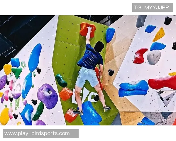 运动数据攀岩新手必读从力量训练到技巧提升的全面入门指南